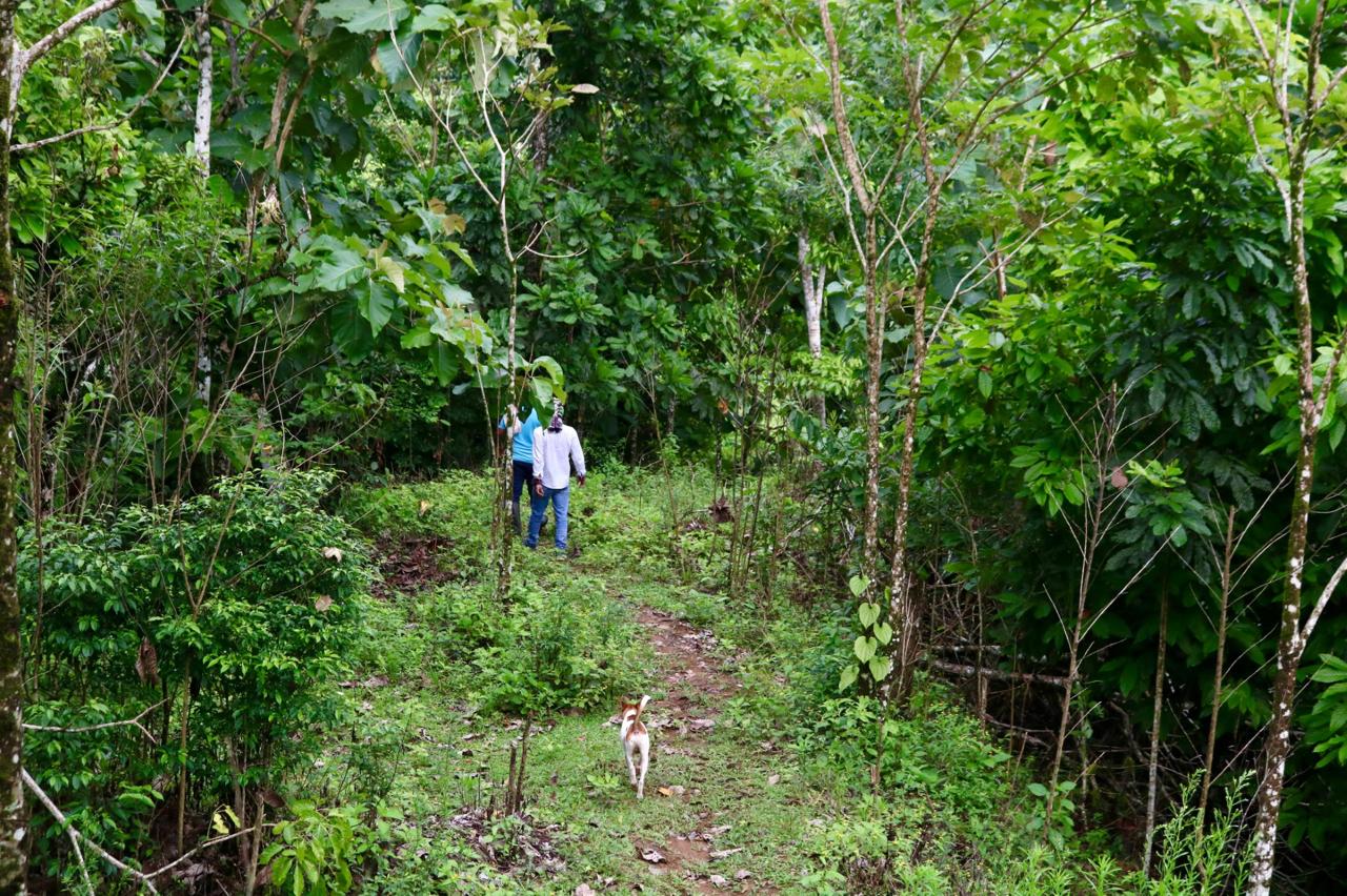 Foto: Unidad de Restitución de Tierras.