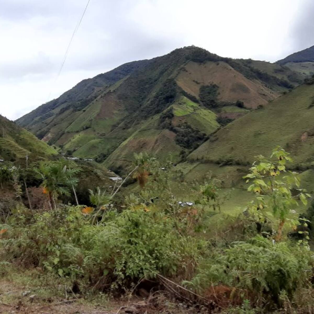 Las AGC estarían obligando campesinos hospedar a sus integrantes en Ituango