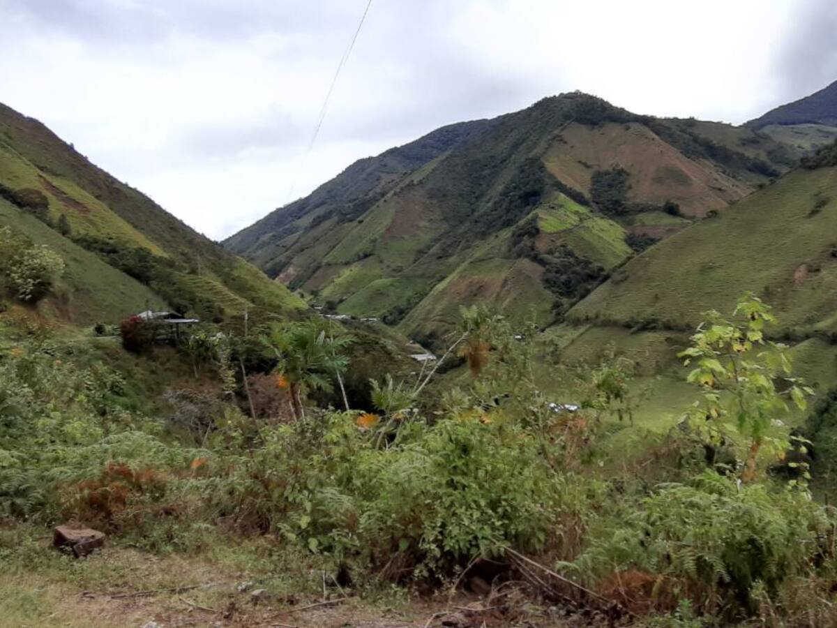 Las AGC estarían obligando campesinos hospedar a sus integrantes en Ituango