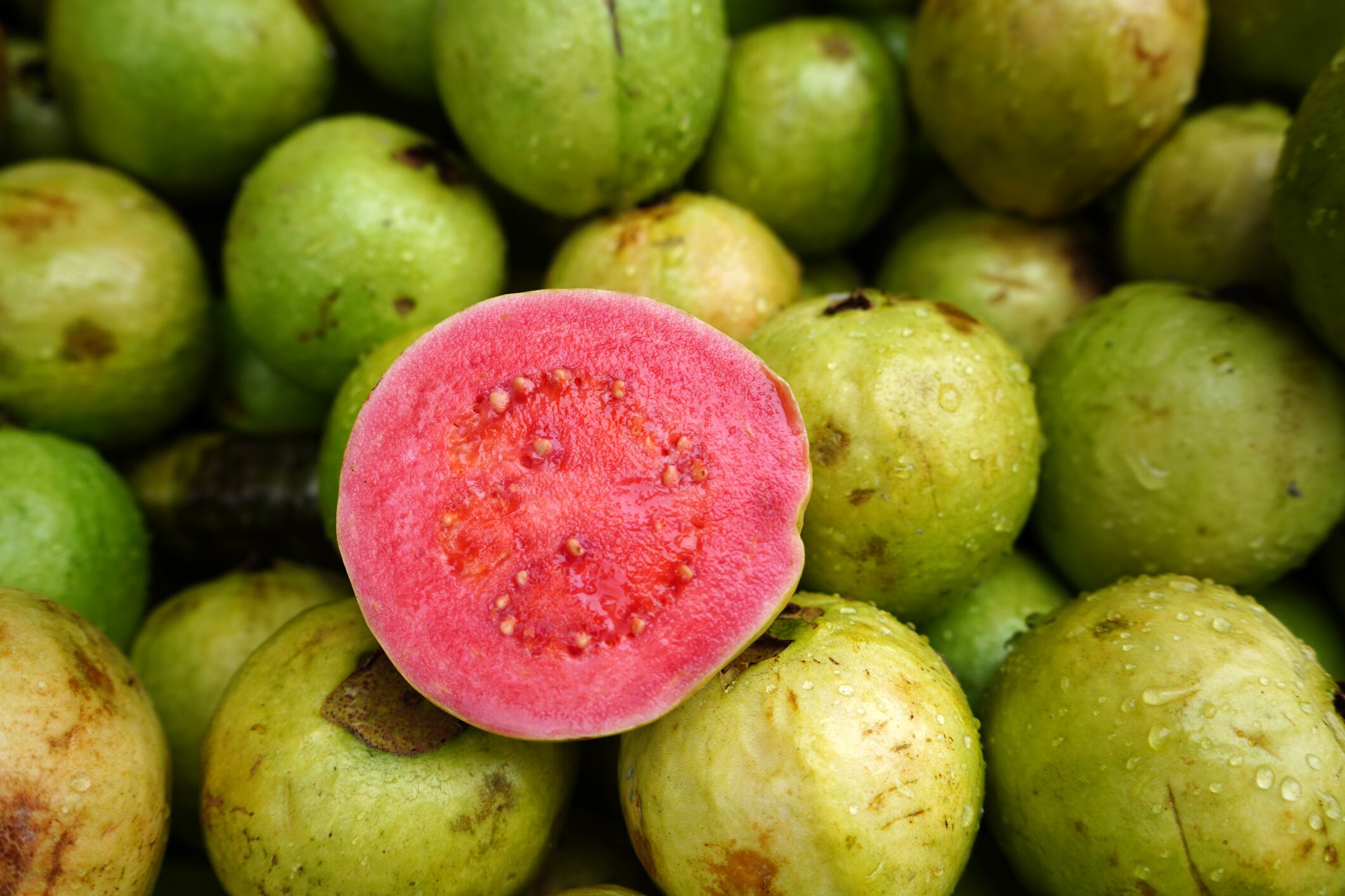 Guayaba, imagen de referencia // GettyImages