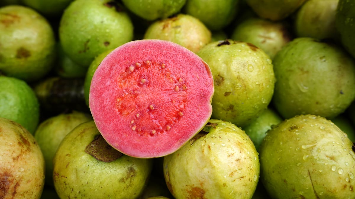 3 enfermedades que la guayaba ayudaría a prevenir: ¿por qué es tan buena para la sangre?