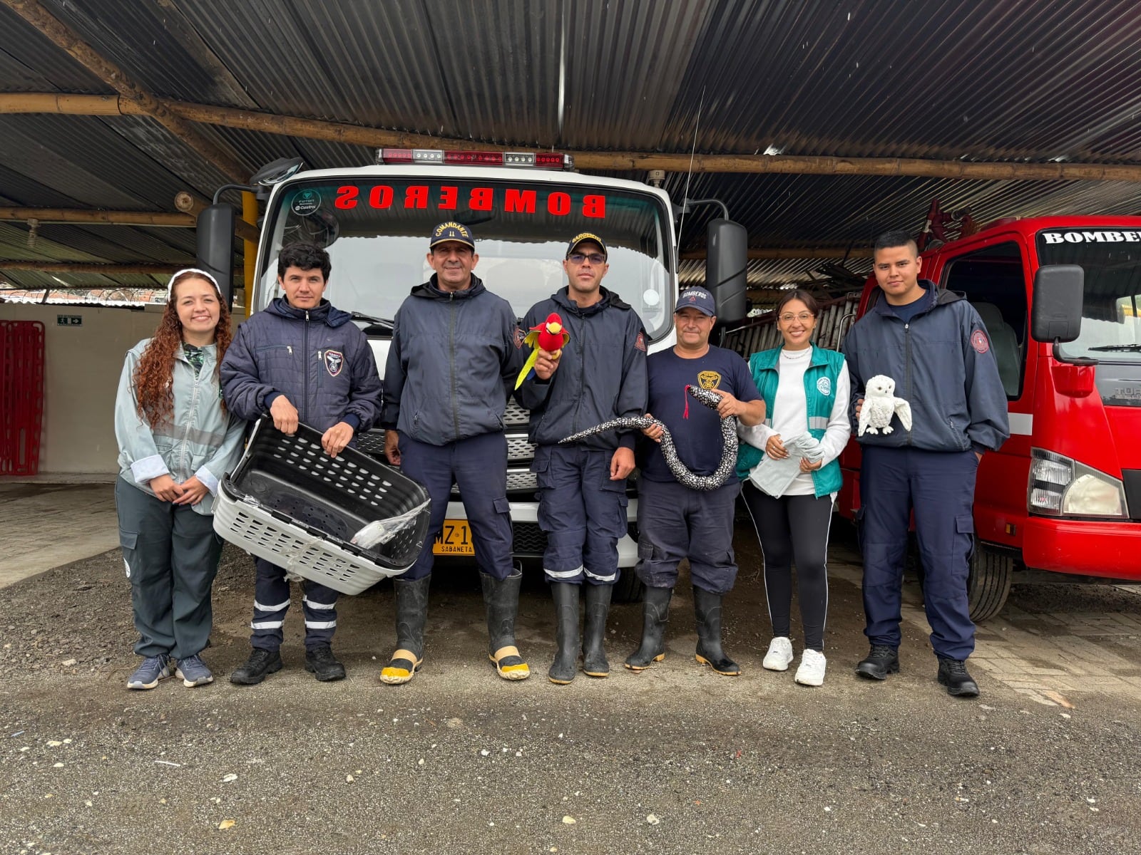Unen esfuerzos para frenar el tráfico ilegal de fauna silvestre en Antioquia. Foto: Área Metropolitana del Valle de Aburrá.