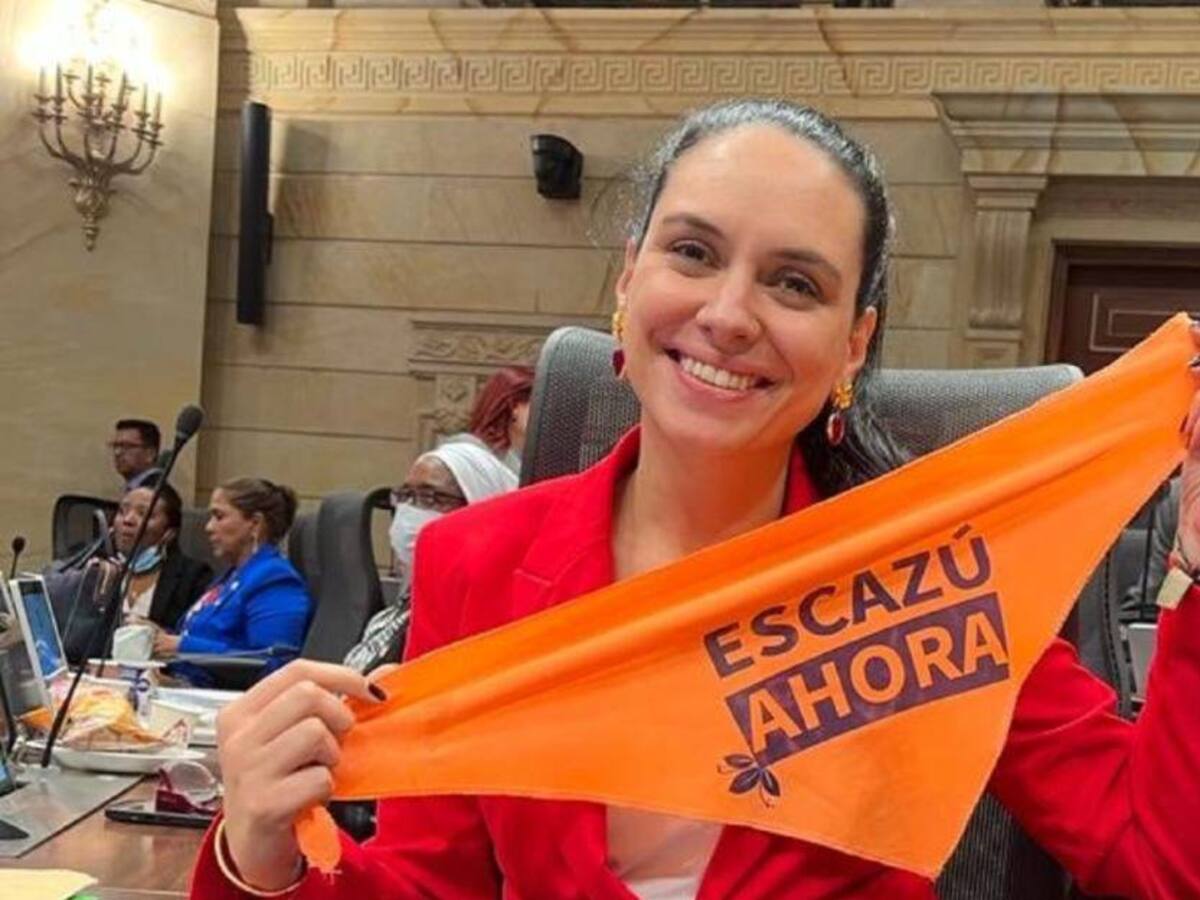 Consejo de Estado mantiene curul de María del Mar Pizarro en la Cámara