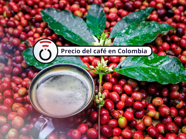 De fondo: Granos de café recién cosechado, en donde se encuentra una taza de este material líquido (Crédito: Getty Images)