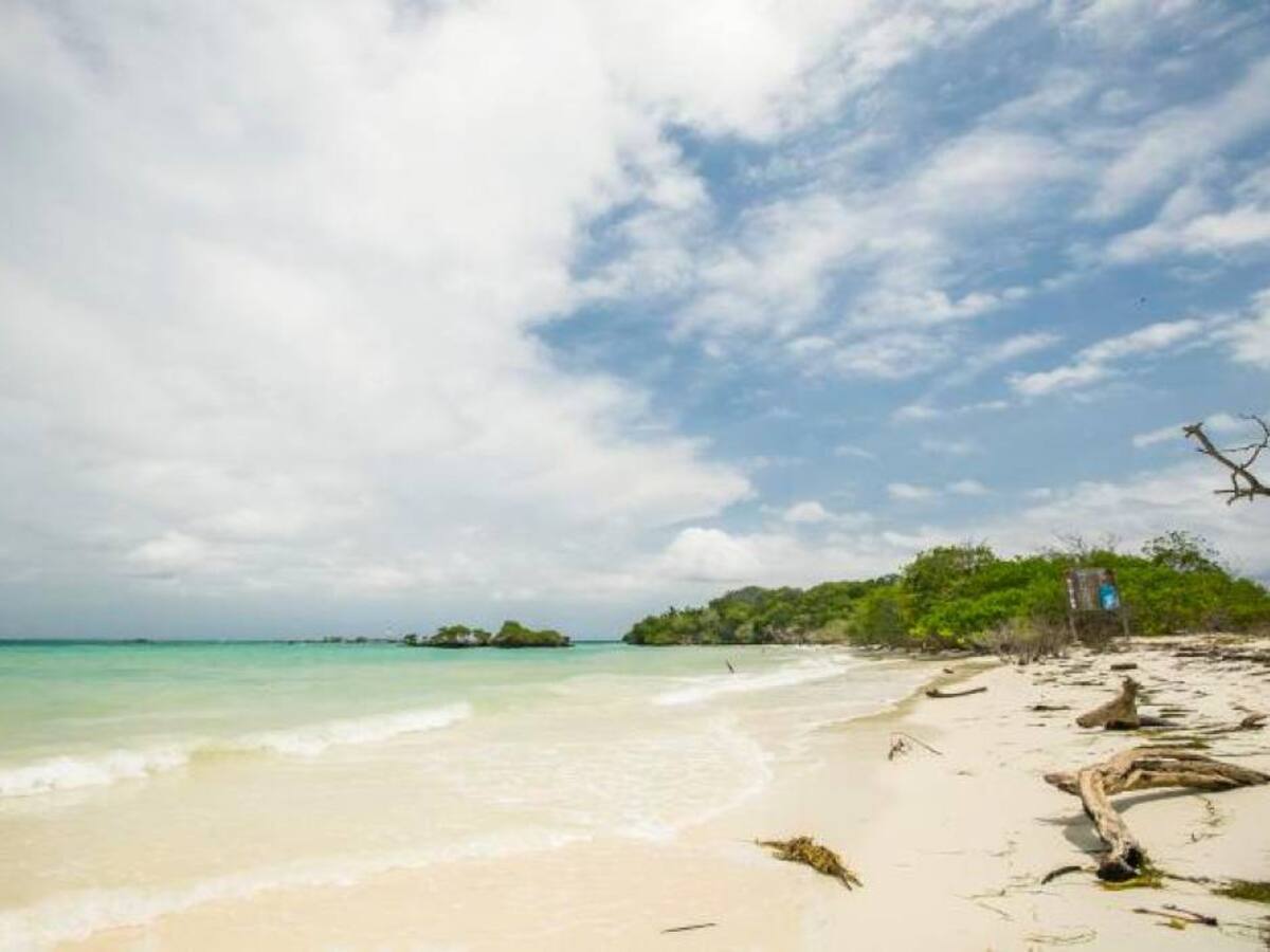 Investigarán a cinco exfuncionarios de la ANT por contratos en Islas del Rosario