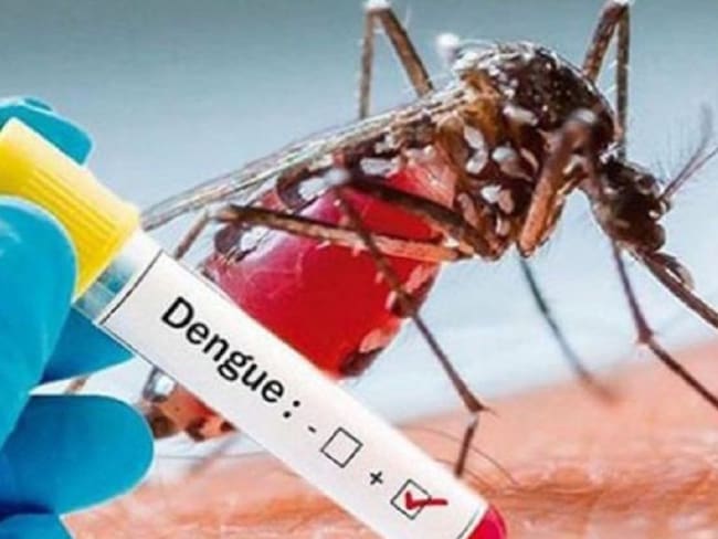 Alerta por aumento en casos de dengue