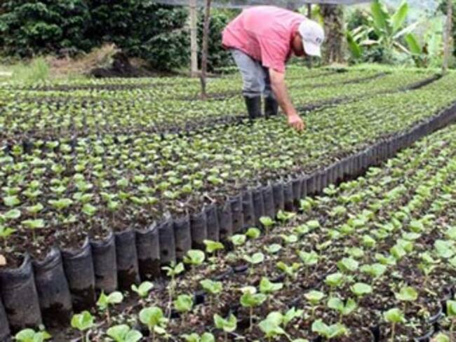 Piden masivas importaciones de fertilizantes para controlar precio en Colombia
