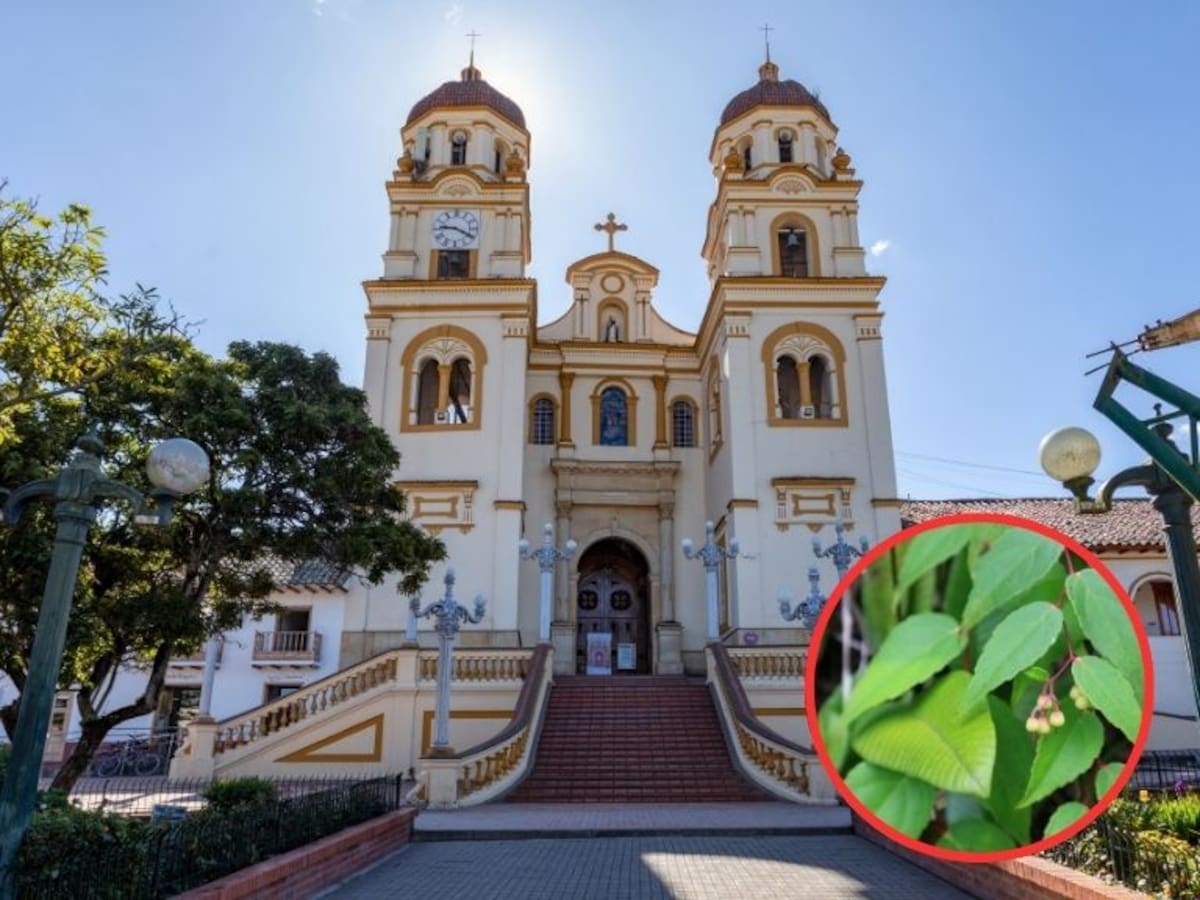 Estos son los 6 pueblos más visitados de Cundinamarca: aquí recomendaciones para visitarlos