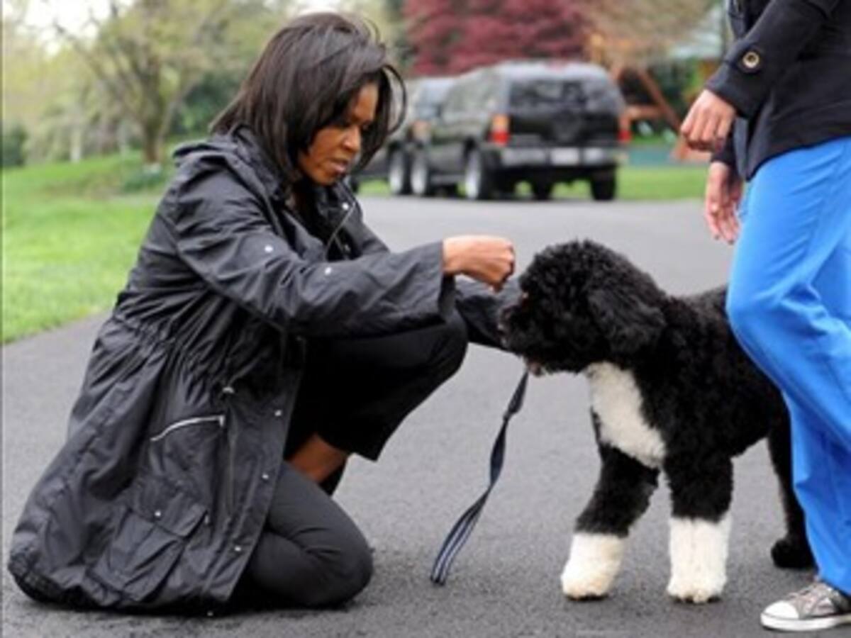 Mujer de Netanyahu regalará una hamburguesa de plástico al perro de Obama