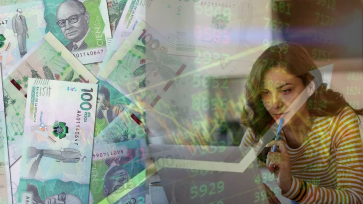 Fondo de inversión paga hasta el 28 % de rentabilidad: ¿Cuál es su riesgo? Así se invierte