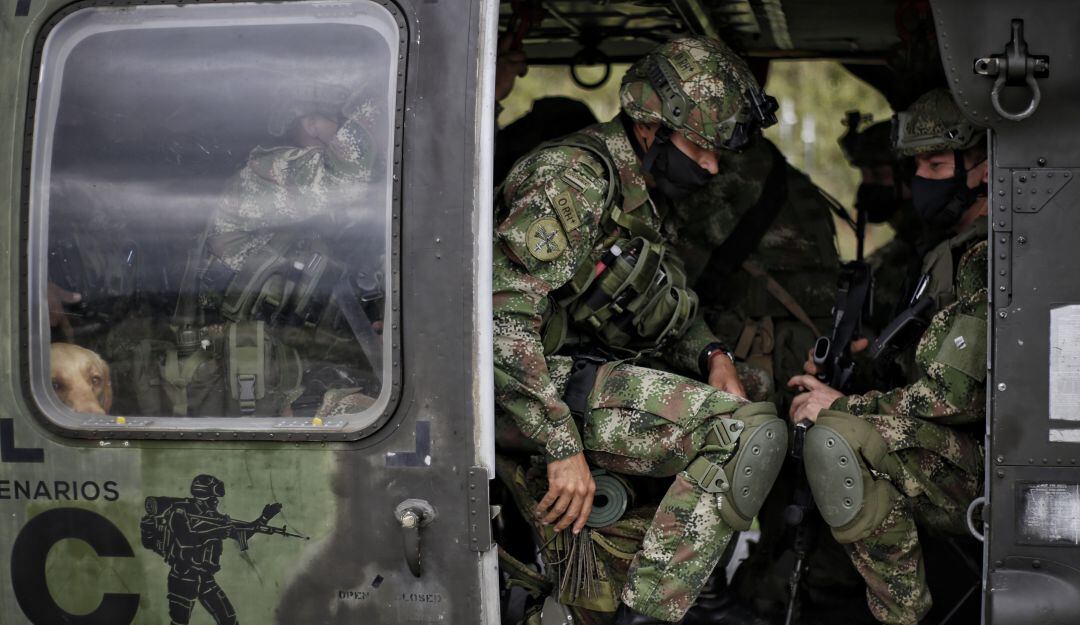 Imagen de referencia. 