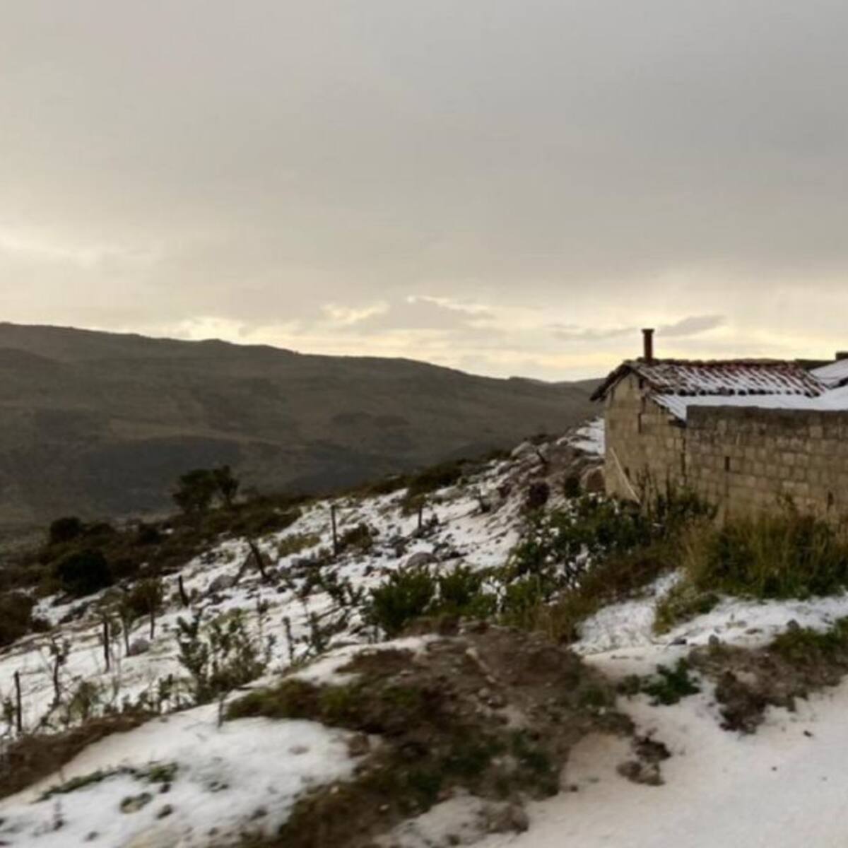 Hubo nieve en el páramo de Santurbán
