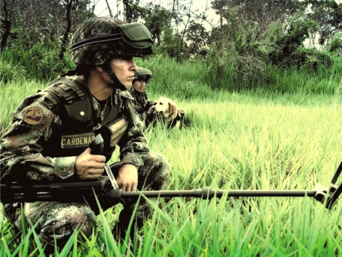 Acciones ofensivas de las Farc disminuyeron en un 98%: Cerac