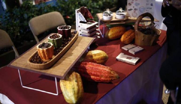 Cacao, otra alternativa agrícola de Colombia