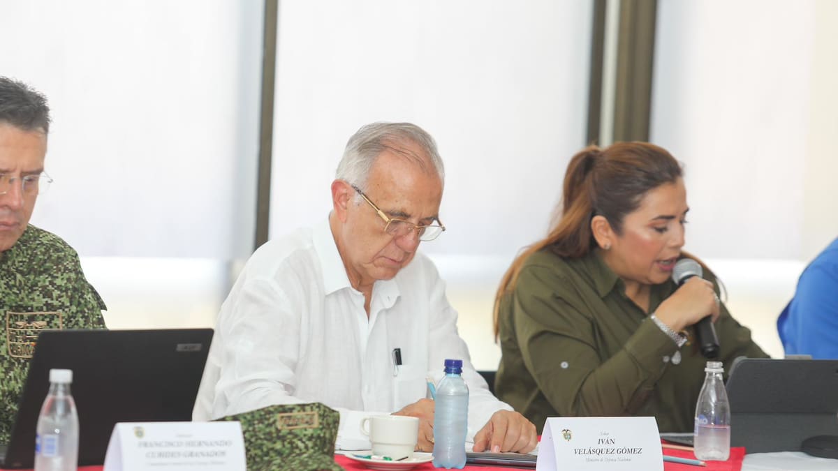 “Es algo normal de los gobiernos”: MinDefensa frente a crisis presupuestal de las FFMM