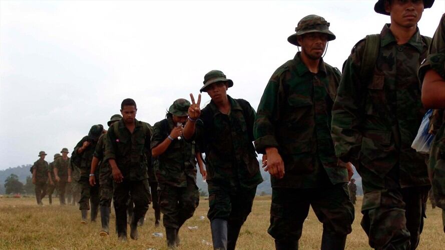 Guerrilleros desmovilizados recibirán 90% de un salario mínimo por 2 años. Foto: Colprensa
