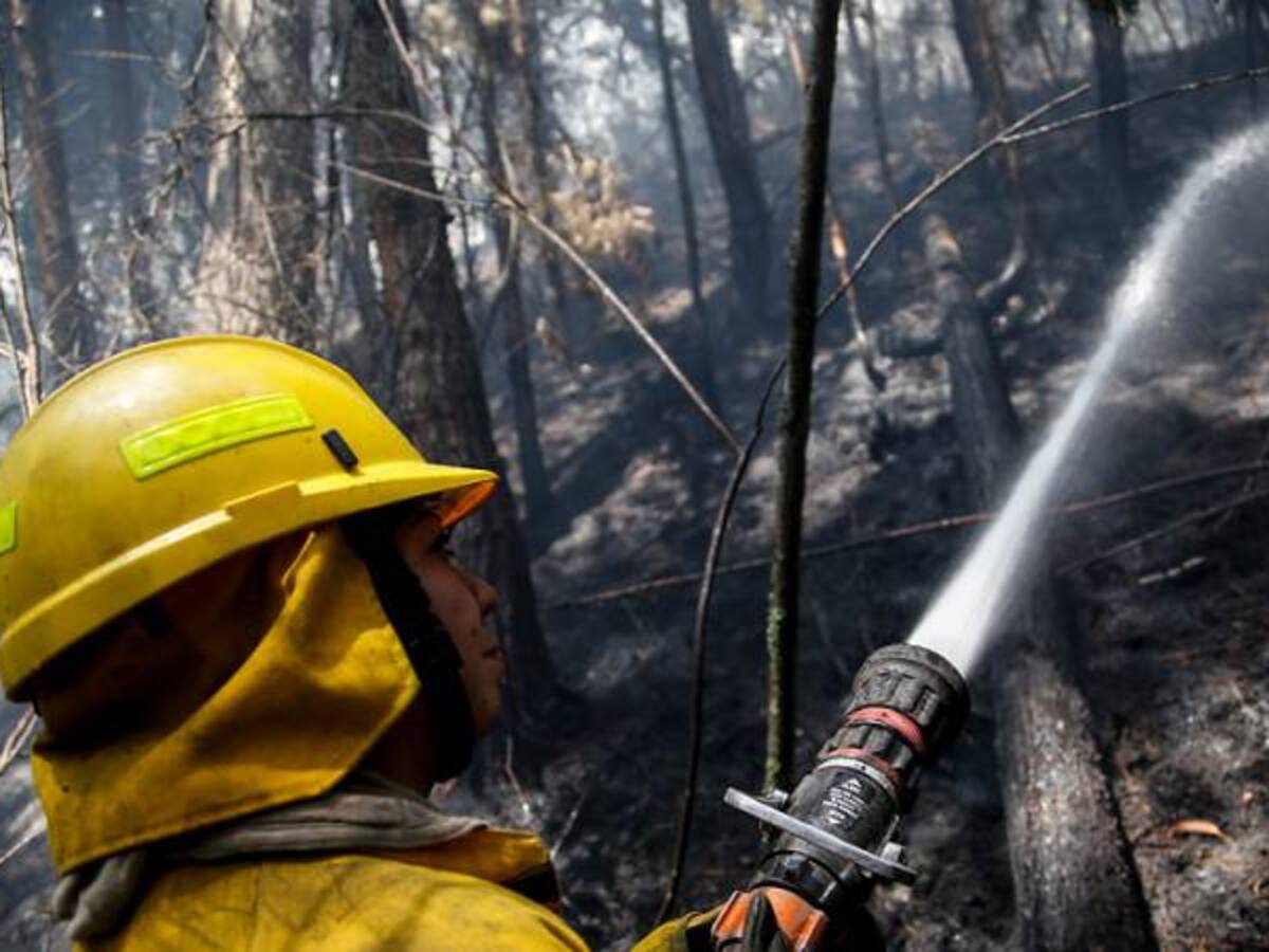 Organismos de socorro tratan de controlar un incendio forestal en Ibagué