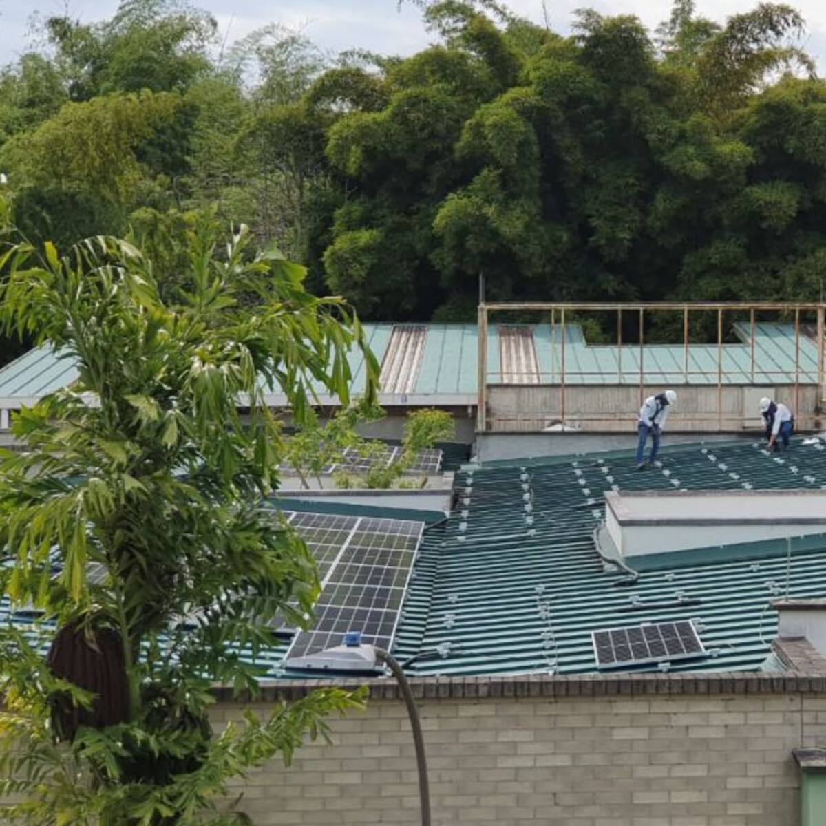 Energías renovables con páneles solares en el Bioparque Ukumarí de Pereira