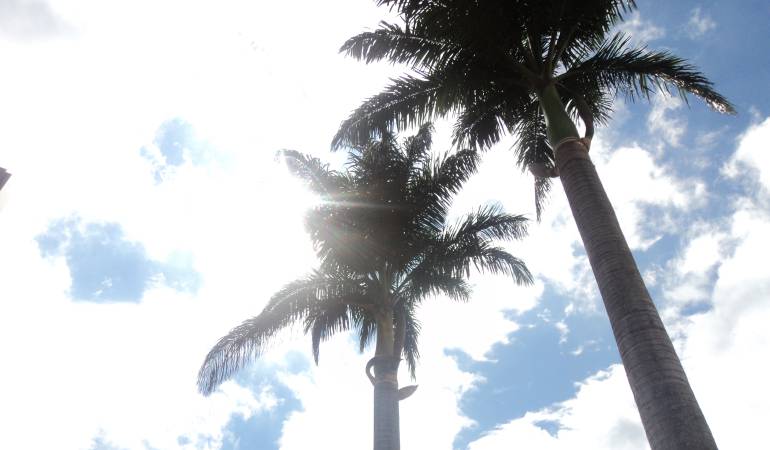 Titulares e información de la región en Caracol Radio