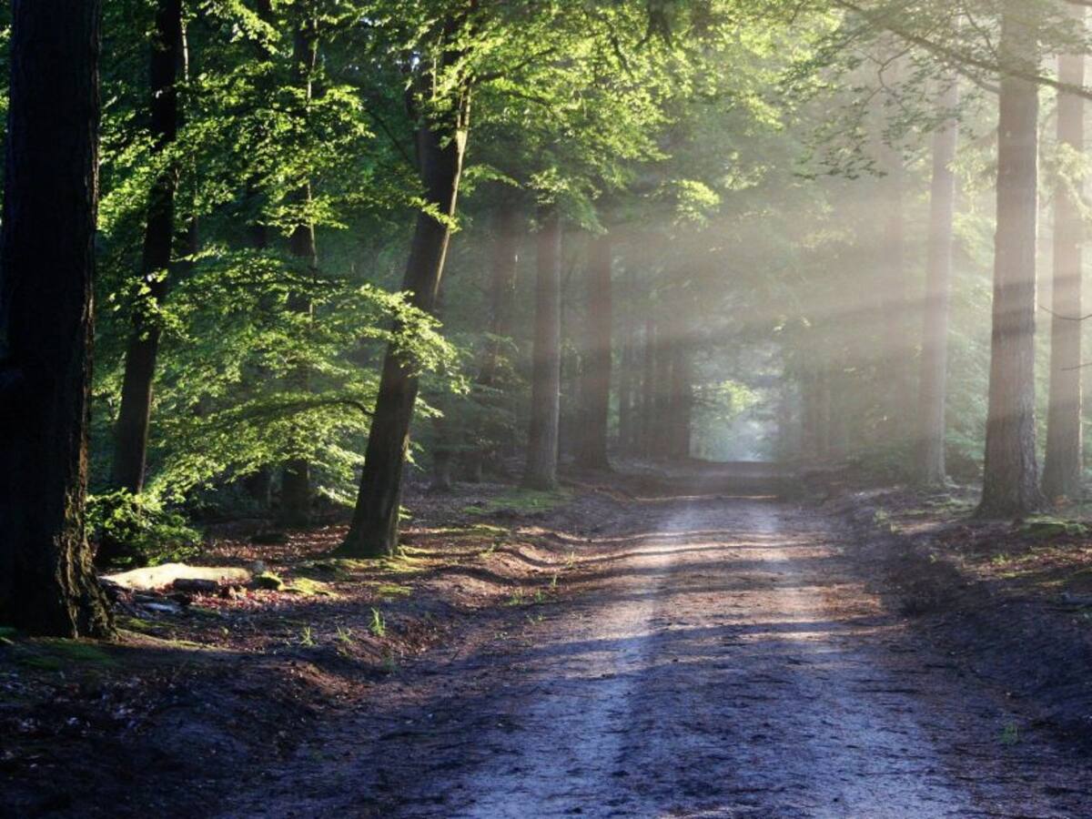 El valor del silencio en la vida del ser
