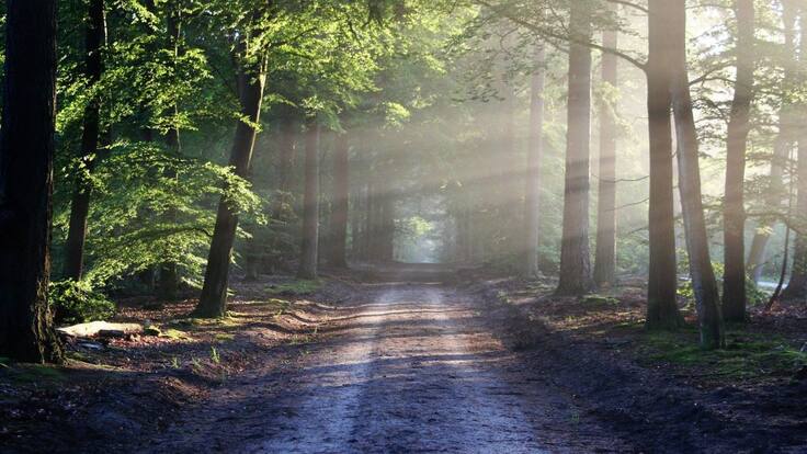 El valor del silencio en la vida del ser.