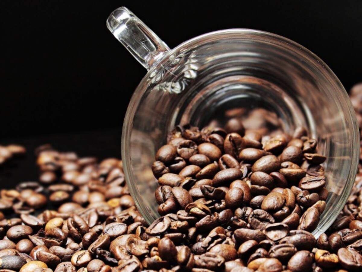 Hoy 27 de junio se celebra el Día Nacional del Café