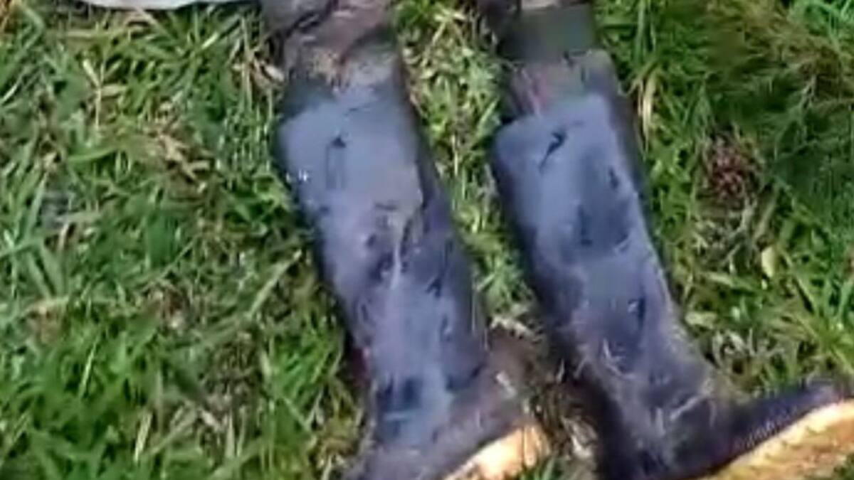 Ejército reportó cuatro muertos y un herido en combates en Cauca