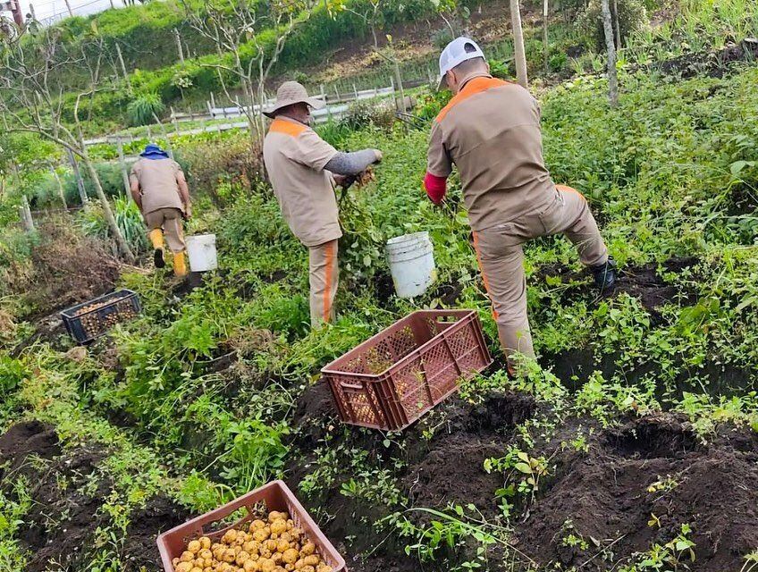 Crédito: Suministrada.