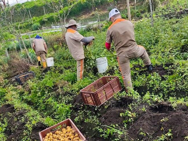 Crédito: Suministrada.