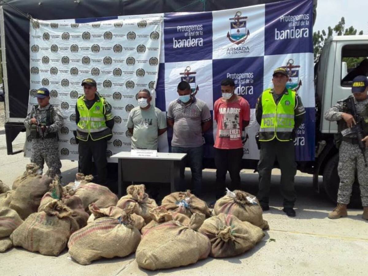 Armada evita comercialización de hicoteas en Bolívar