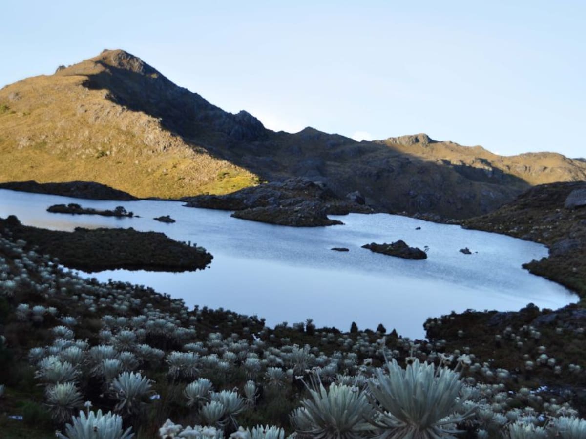 Colombia, el país más peligroso para los defensores del ambiente en 2019