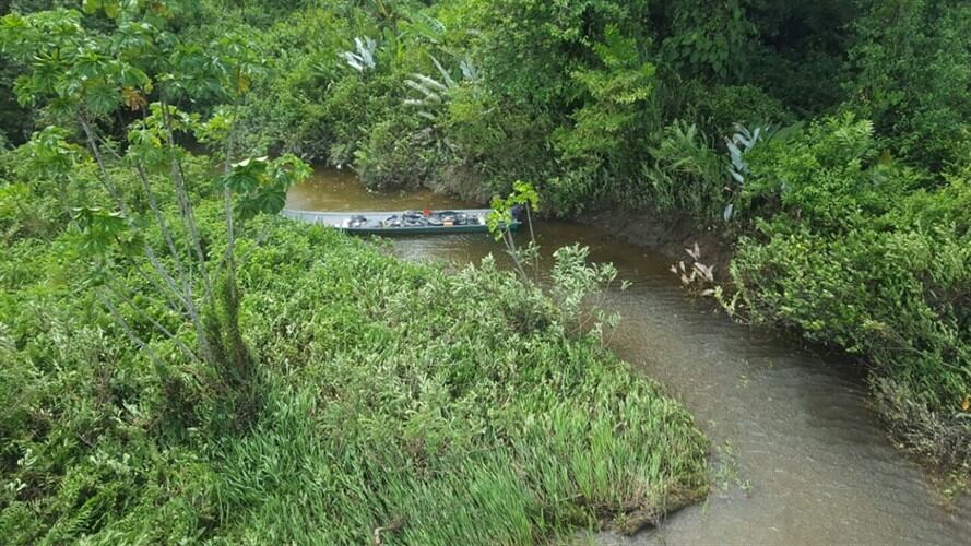 Incautan cerca de una tonelada de alcaloides en Cauca. Foto: Armada Nacional
