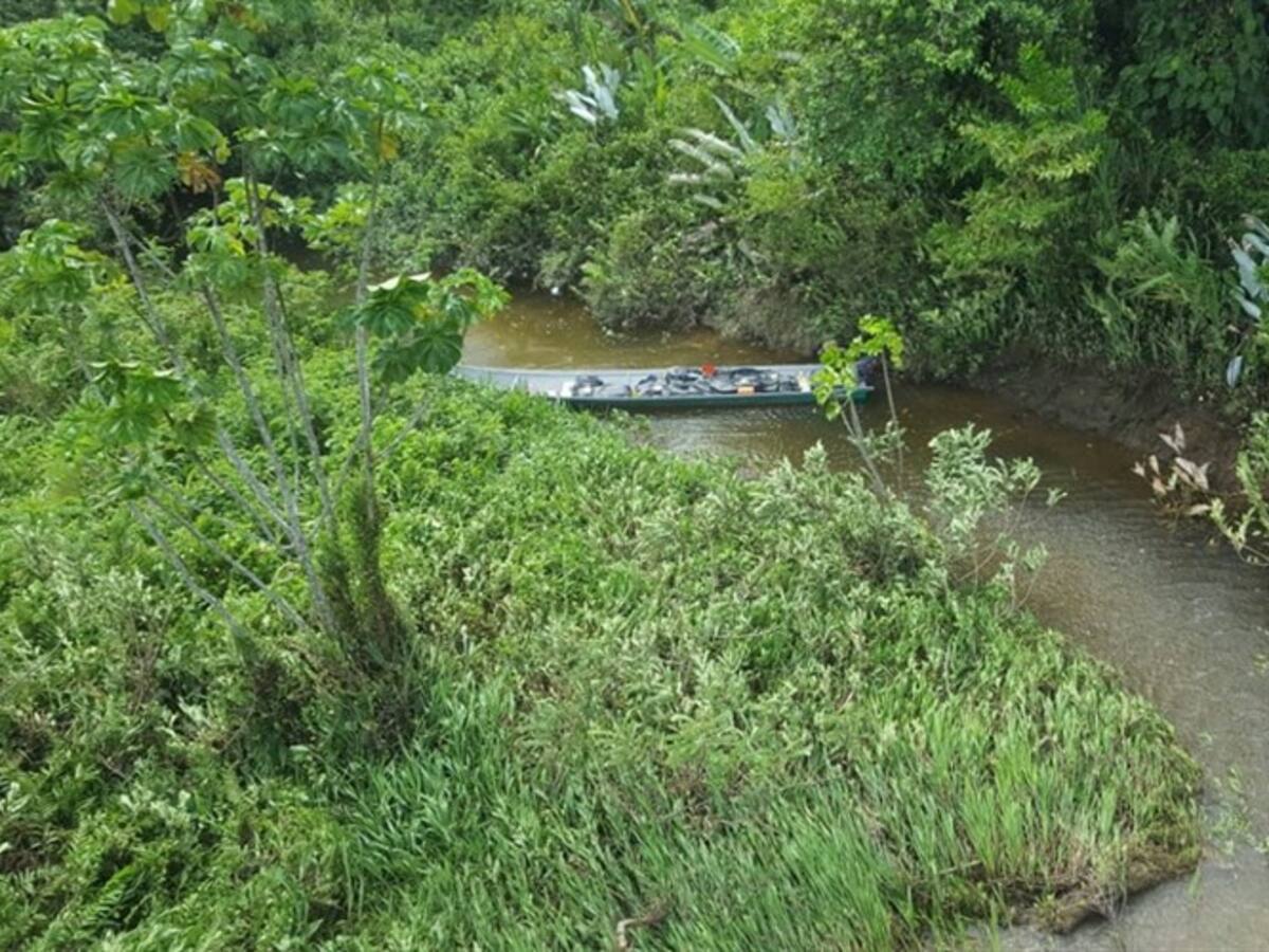 Incautan cerca de una tonelada de alcaloides en Cauca