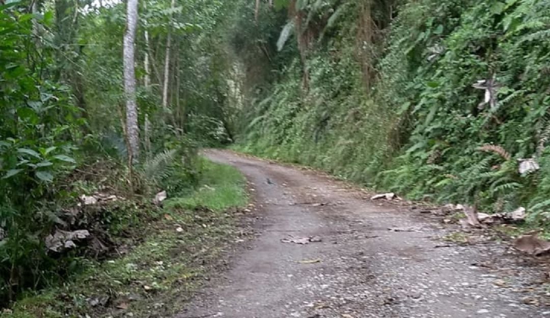 Imagen de archivo vía a la reserva de Río Blanco