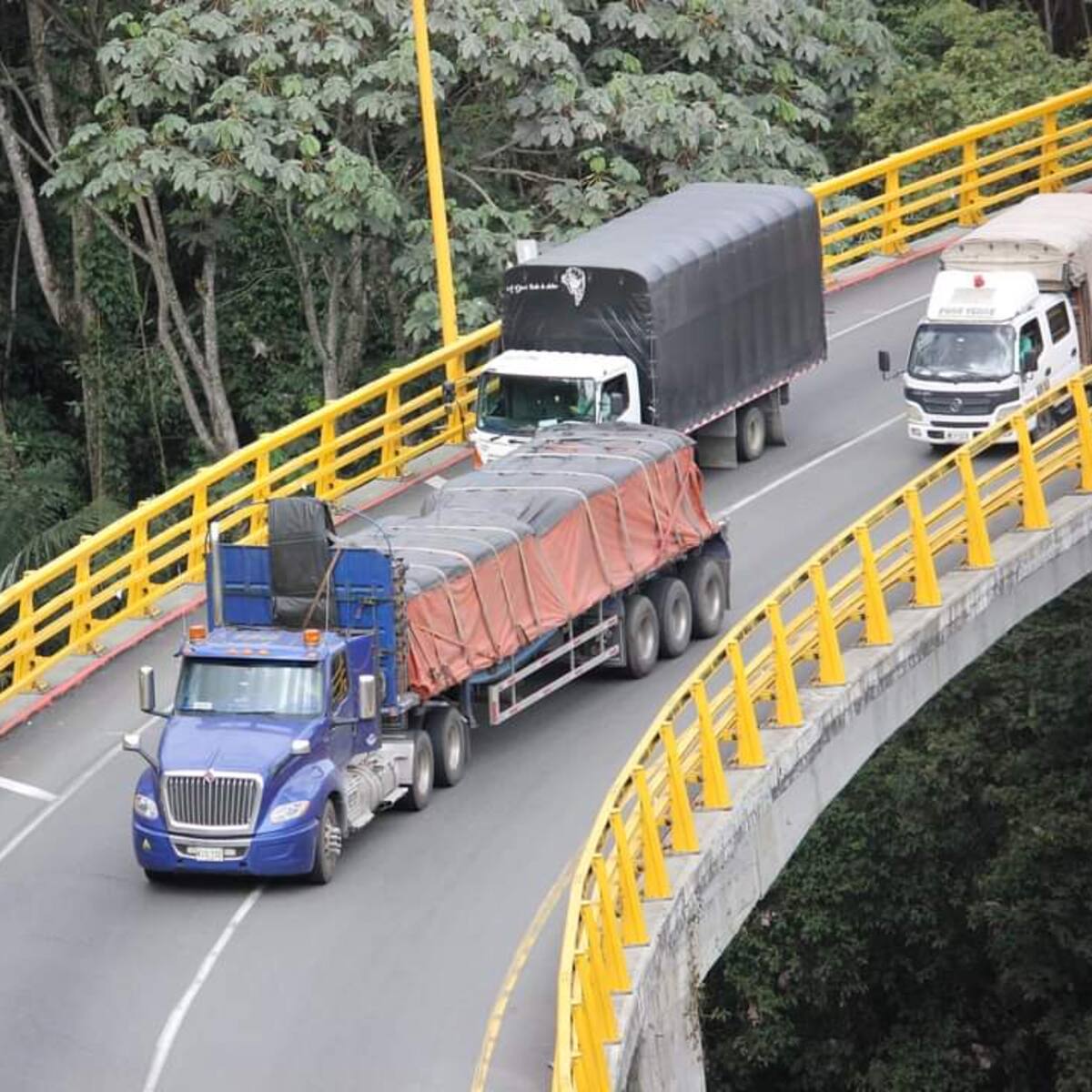Vía al alto de La Línea entre Quindío y Tolima en completa normalidad y movilidad