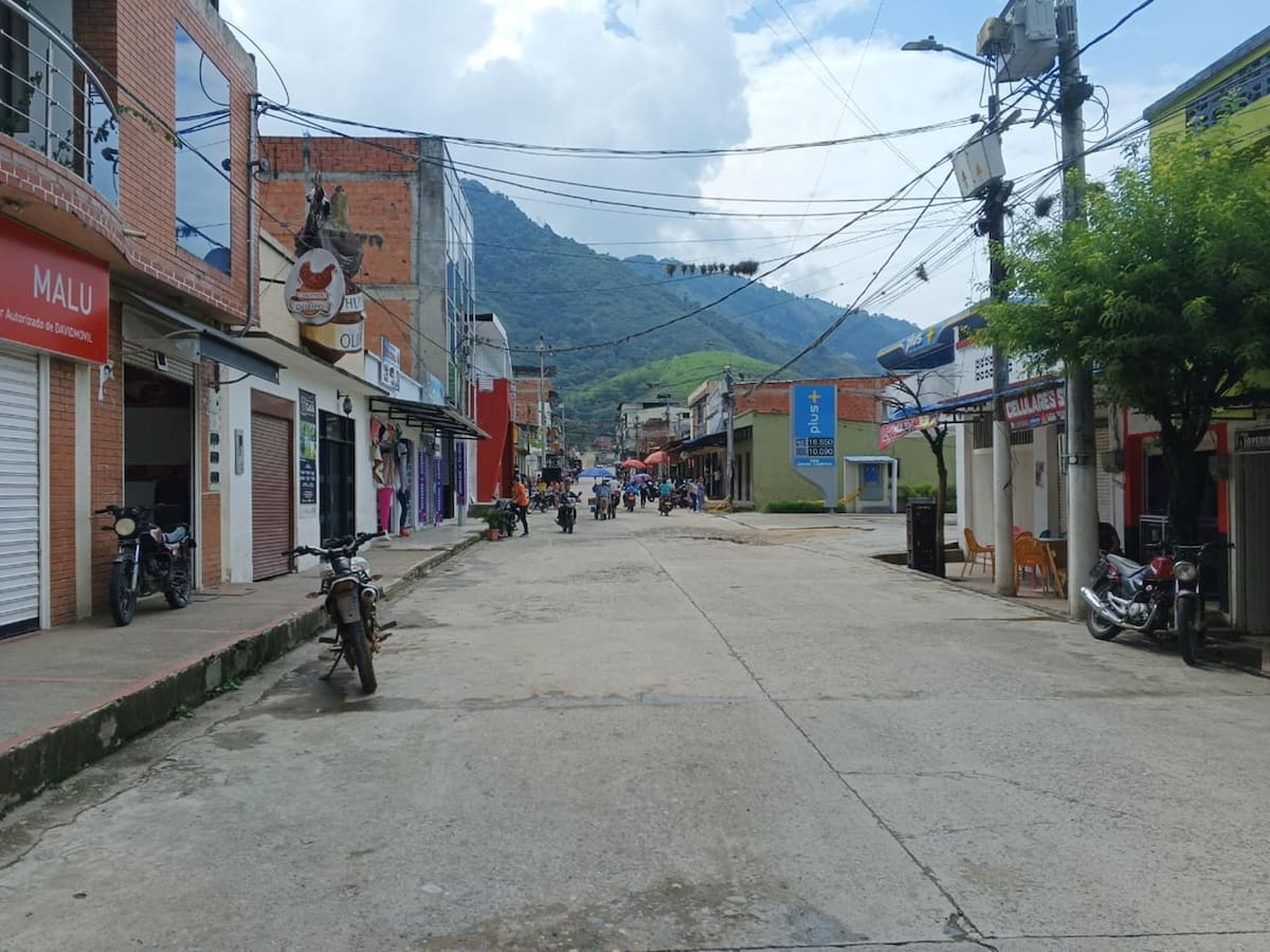 Indignación en el Tolima por el abuso sexual de una perrita en el municipio de Planadas