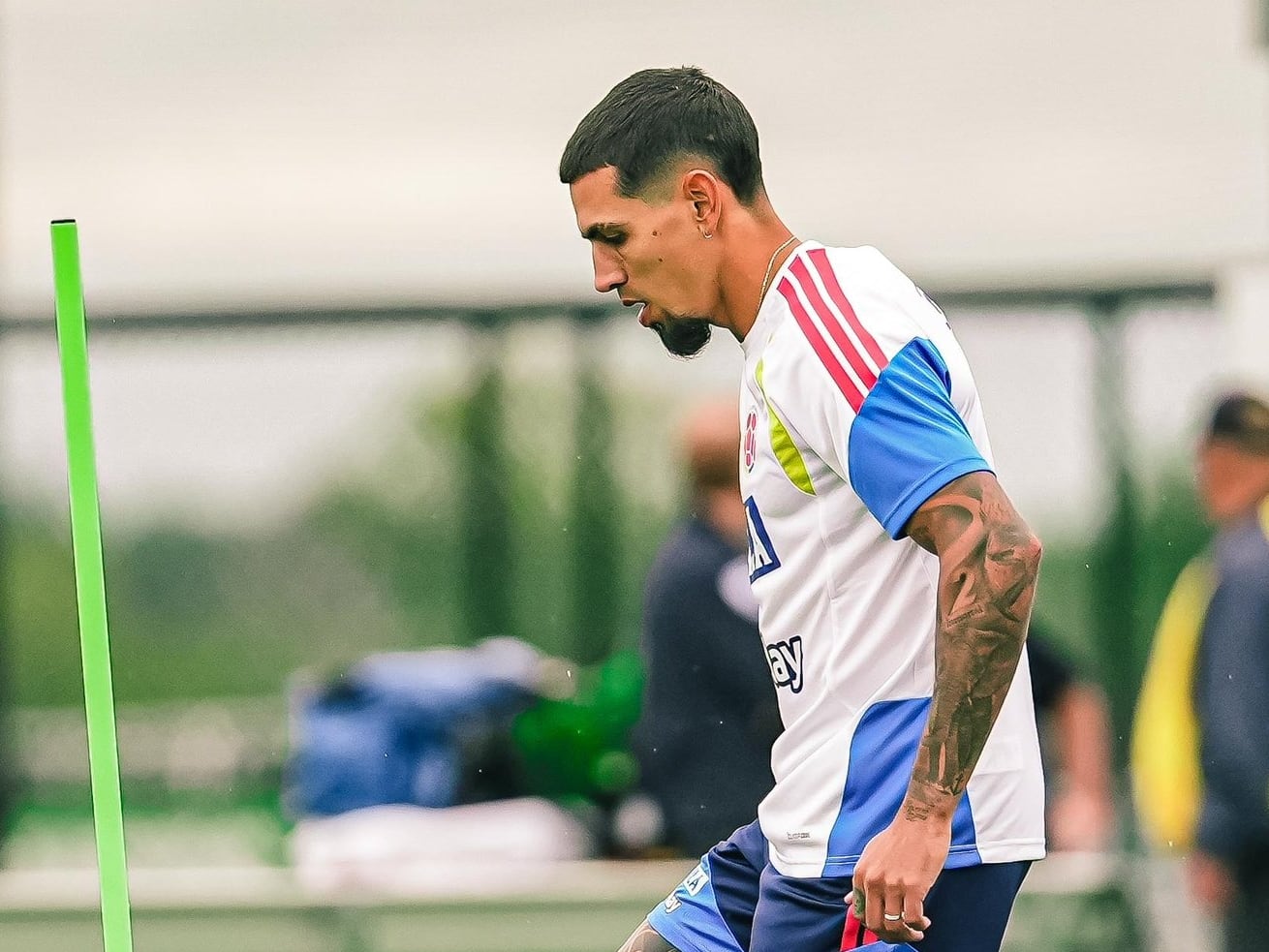 Primer entrenamiento de Colombia en USA por fecha FIFA: acá los jugadores que ya están concentrados / FCF