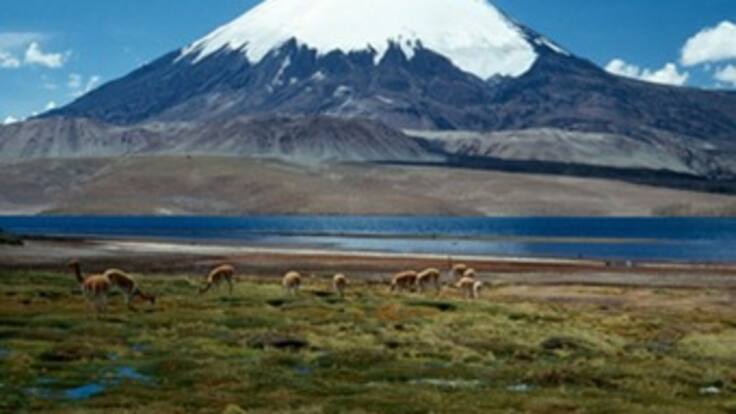 No hay quién cuide el Parque Nacional de los Nevados
