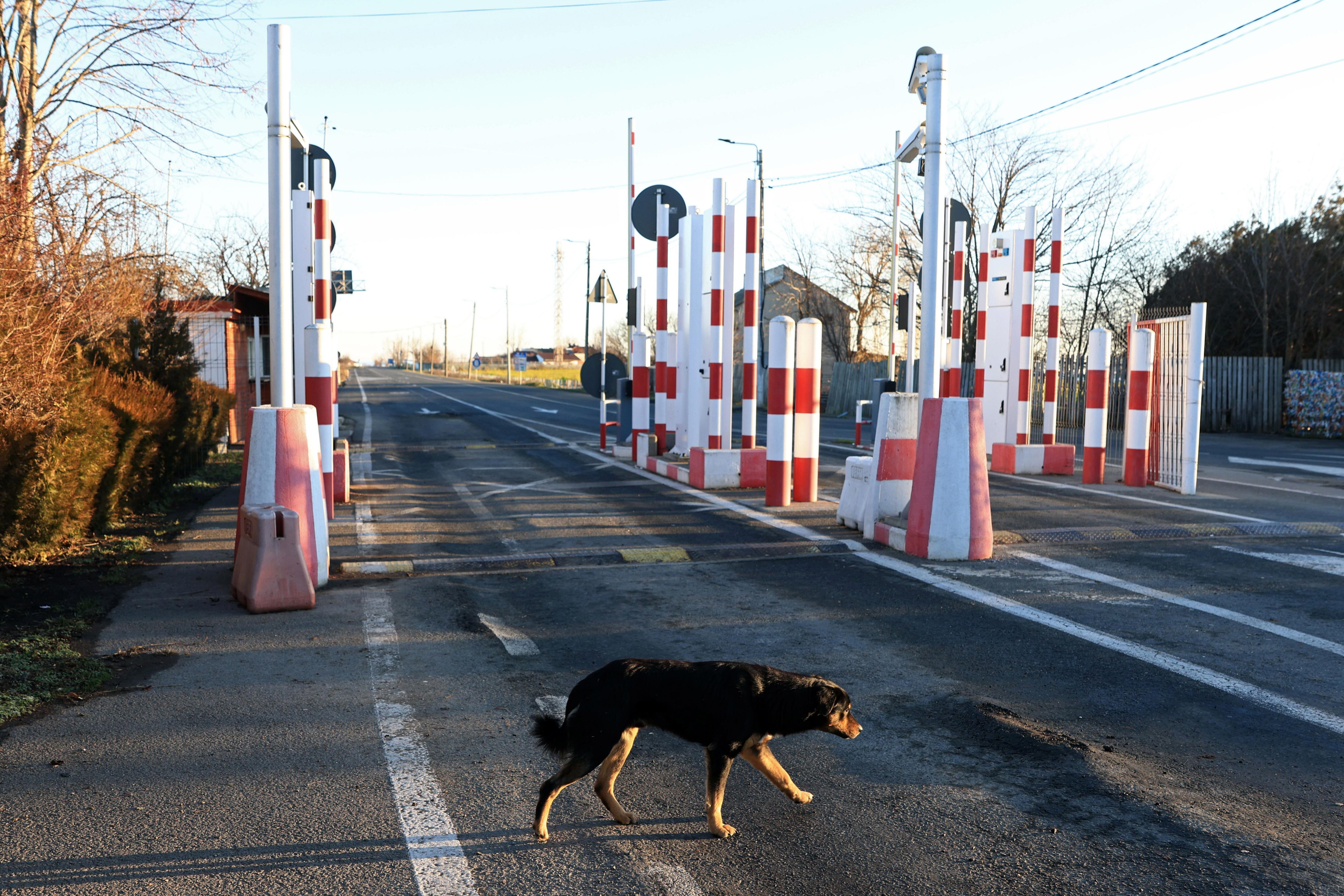 Frontera entre Bulgaria y Romania. 
EFE/EPA/VASSIL DONEV
