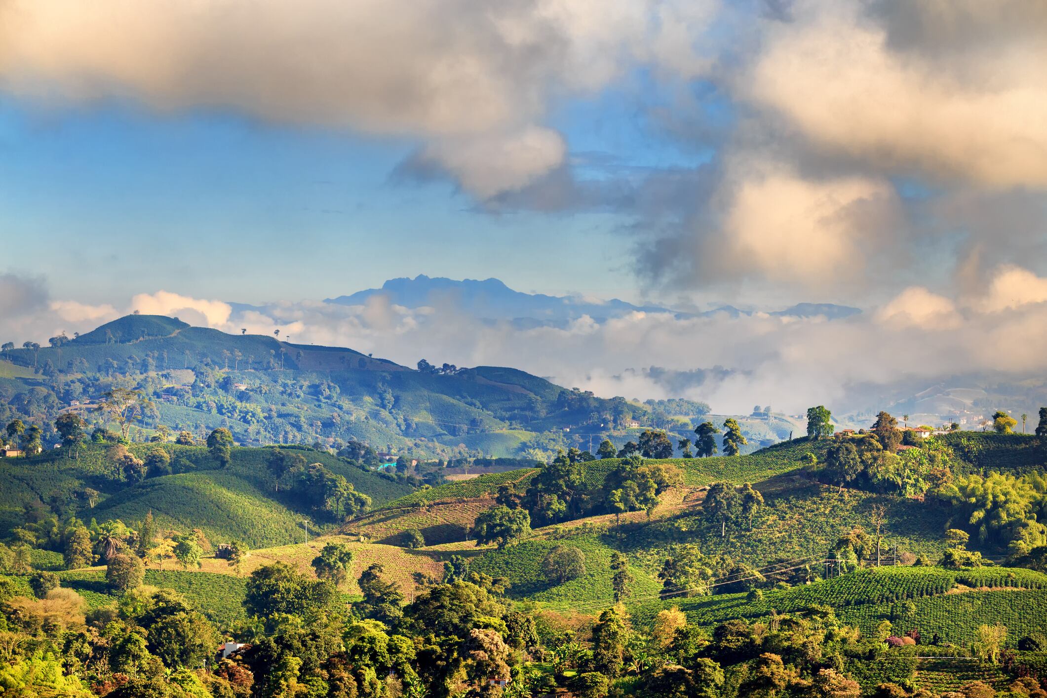 Eje Cafetero, Colombia // Imagen de referencia, Getty Images