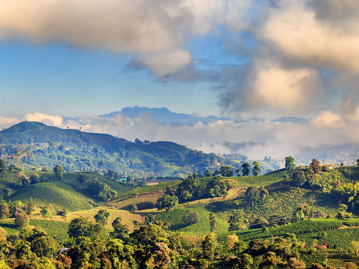¿Cuál es la mejor ciudad del Eje Cafetero según la IA? Planes que recomienda