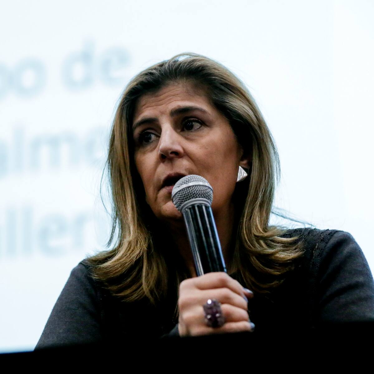 “Es un oso, el canciller se equivoca”: Alejandro Ocampo por salida de Laura Gil