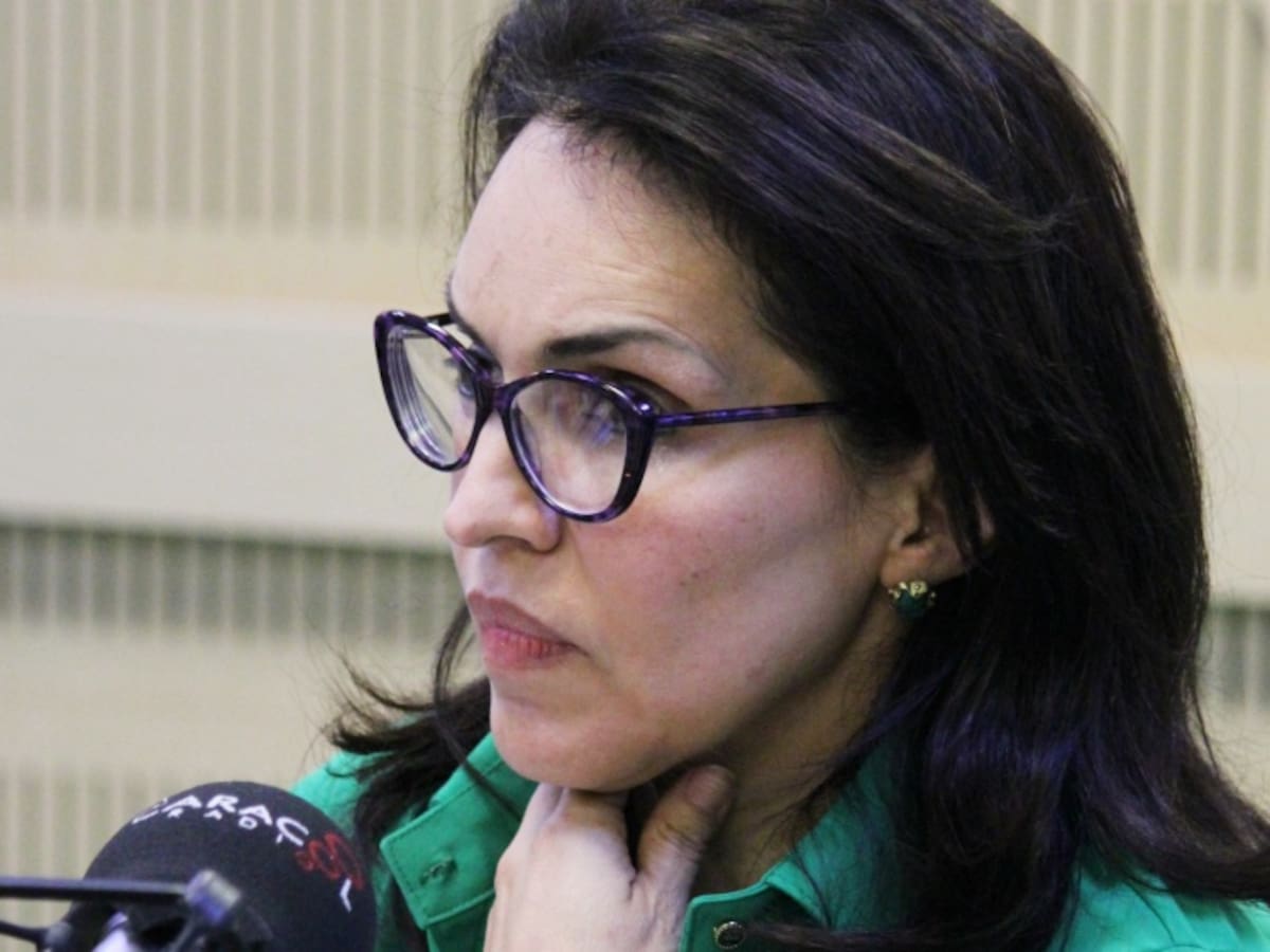 Viviane Morales pide que cúpula de las Farc pueda participar en política