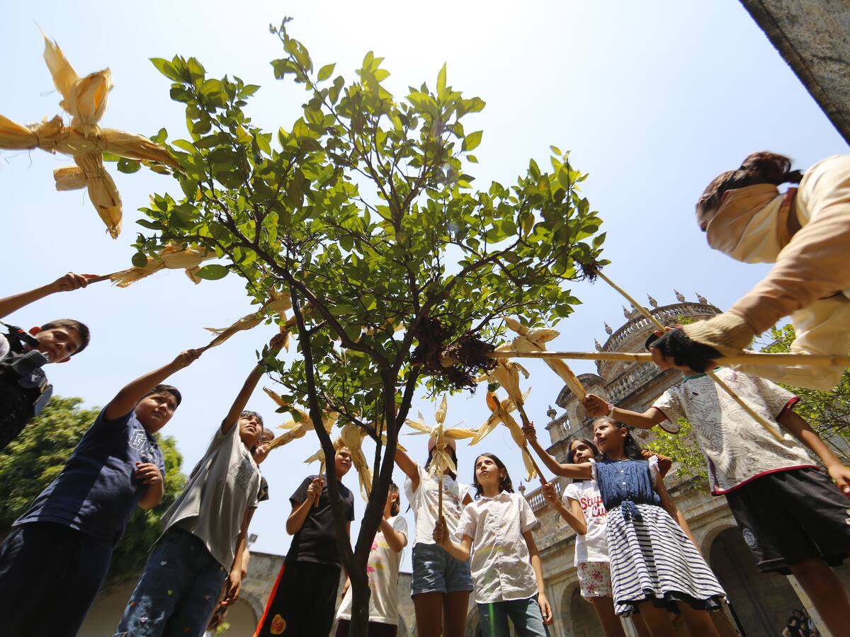 Fundación que brinda herramientas socioemocionales a niños y niñas
