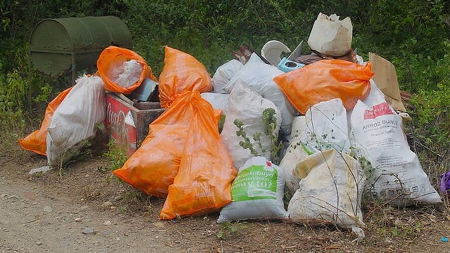 Imagen de referencia. Foto: Colprensa