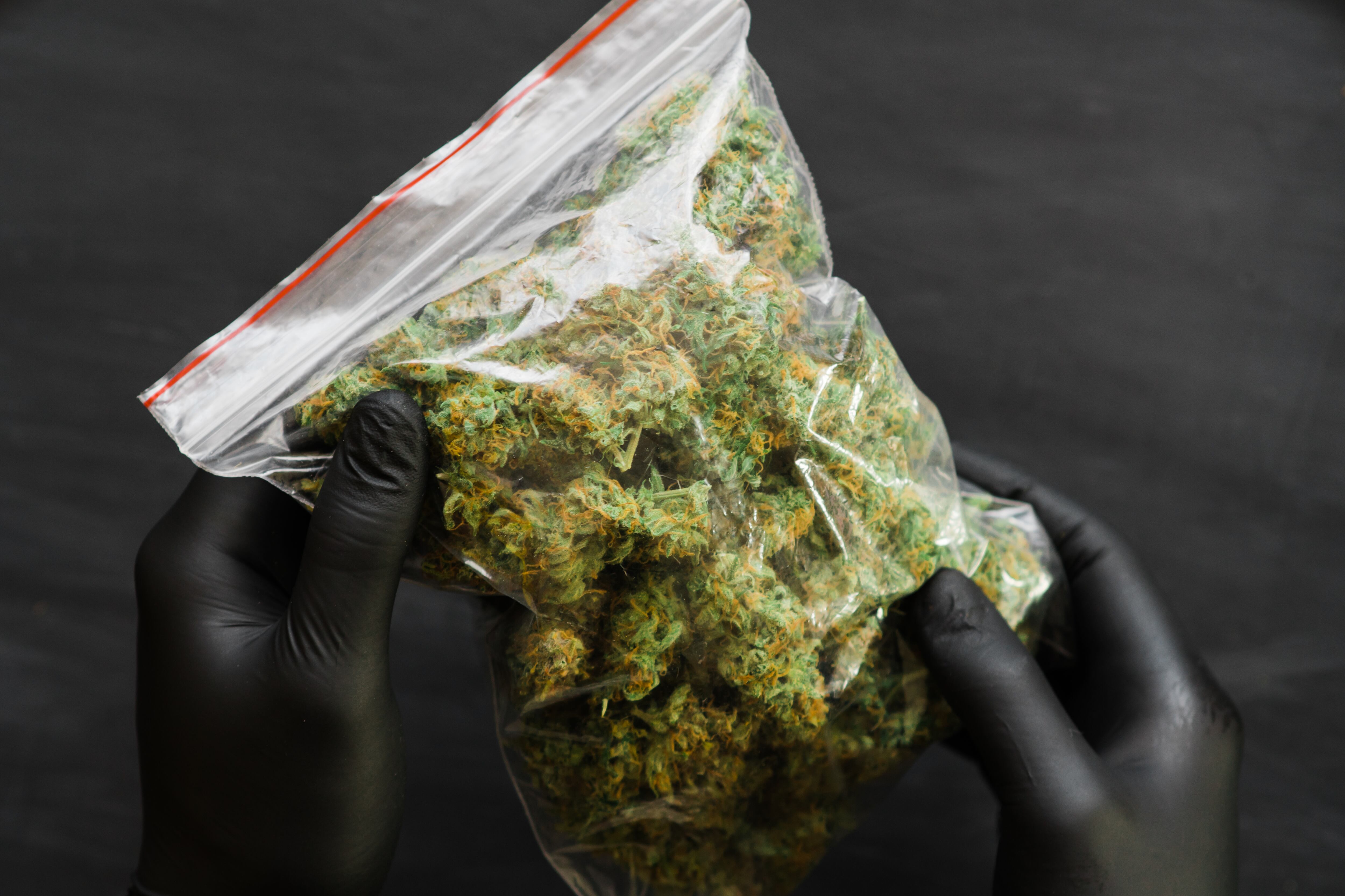 Incautación de marihuana. (Imagen referencial). Foto: Getty Images.