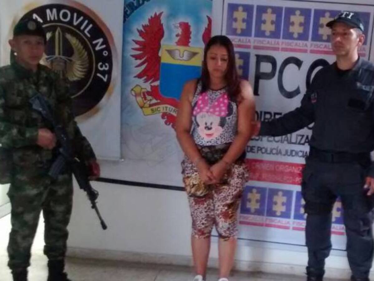 Capturada en Cauca alias Daniela cabecilla de las redes de apoyo al terrorismo del Eln