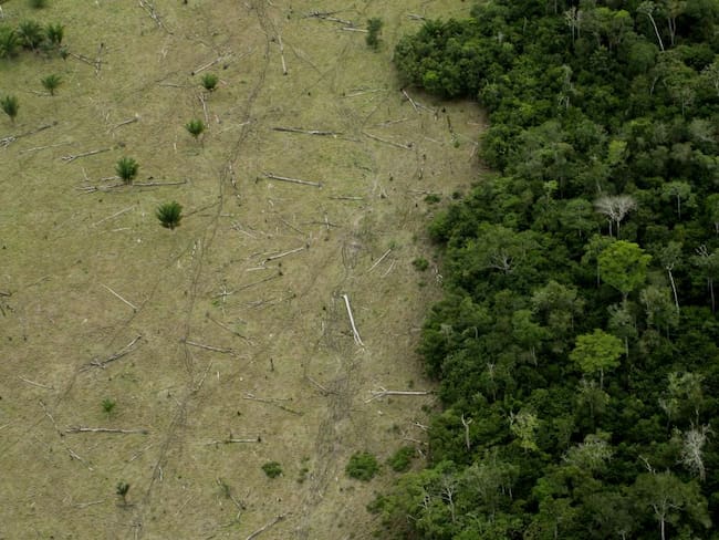 Se firma pacto contra la deforestación en la Amazonía