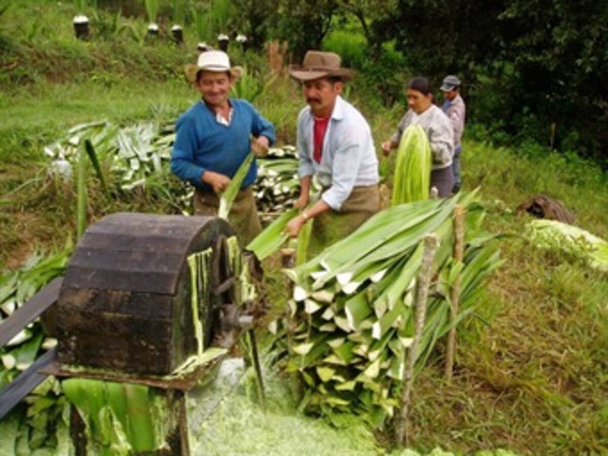 Sena lanzó programa que busca el desarrollo y modernización del campo