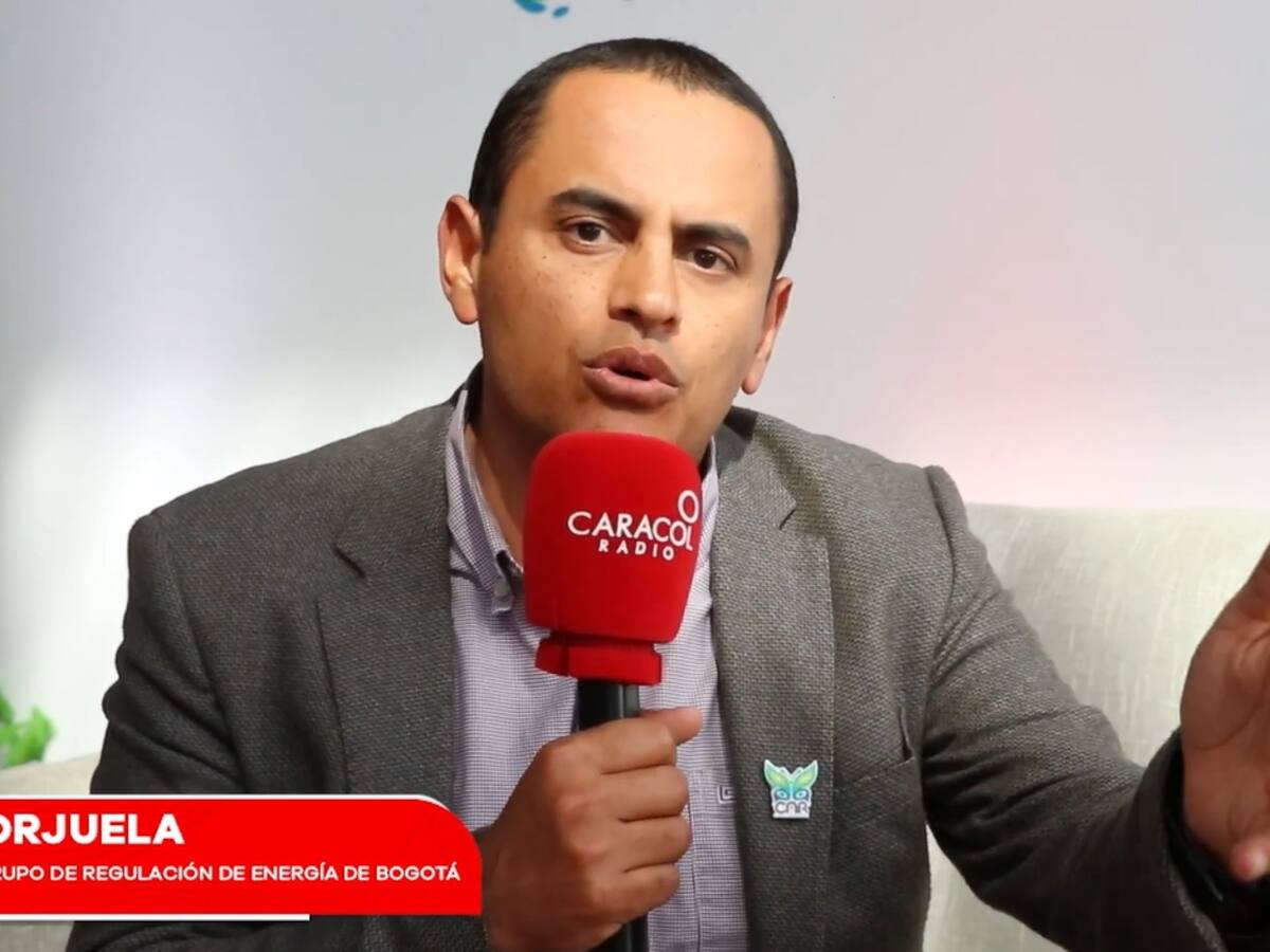 La sostenibilidad, una de las principales apuestas del Grupo de Energía de Bogotá